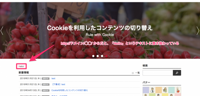 （スクリーンショット）カスタマイズ後のhttp://ドメイン/◯◯/