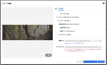 新しいメディアモーダル画面（詳細情報タブ）