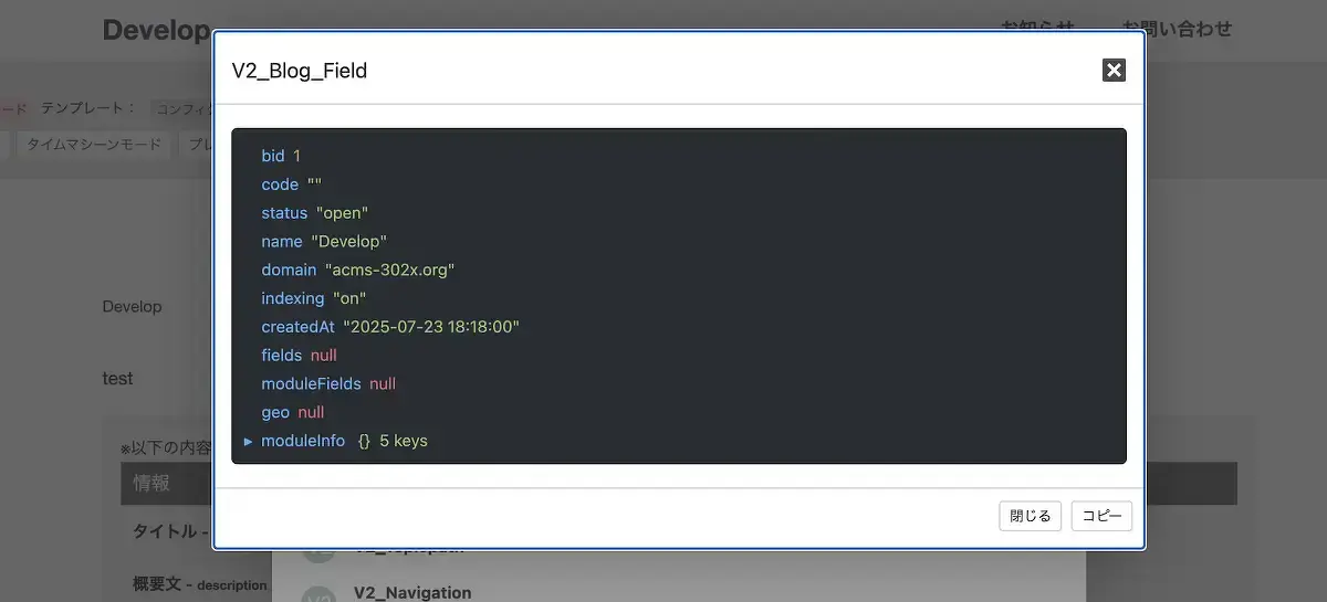 実際の値が入った変数表。JSON形式で表示されます。